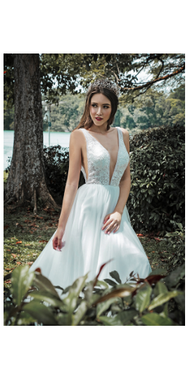 Reflections Collection
