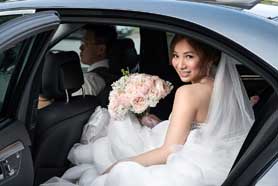 Premier Collection