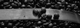 Couple Love Brew Workshop