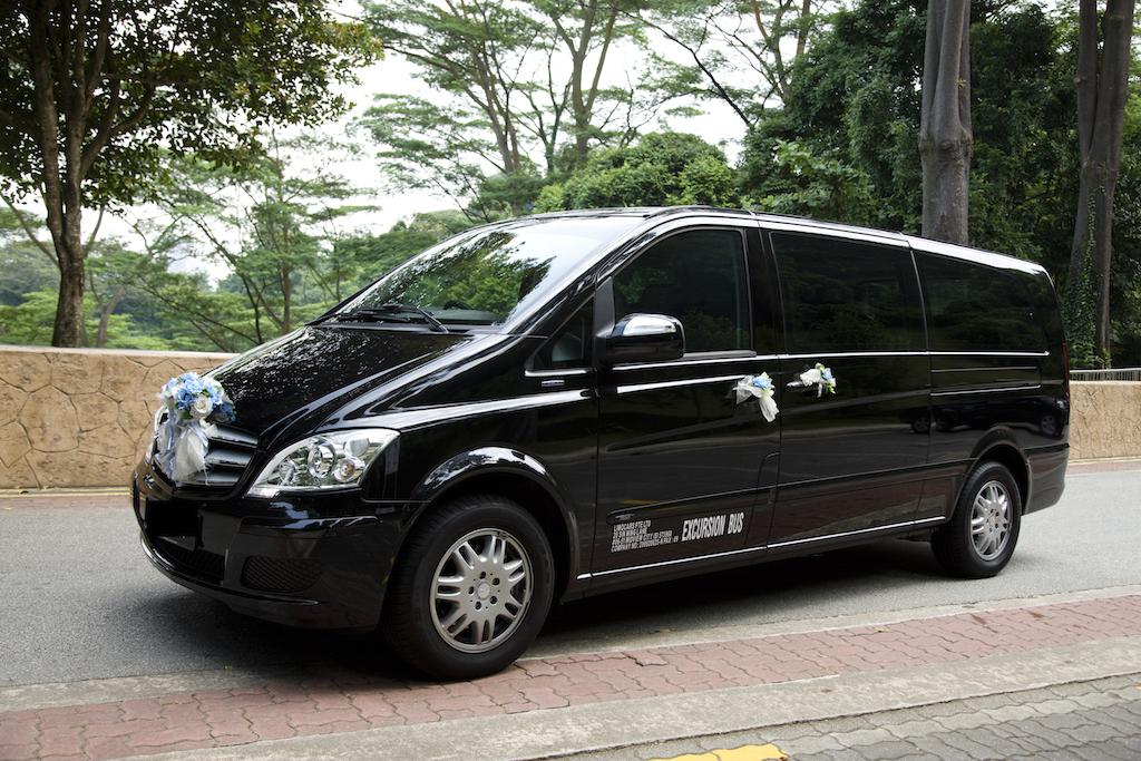Mercedes Viano