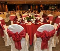 Malay Wedding Package (Vegetarian and halal menus)