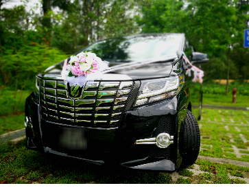 Wedding Car – Pink
