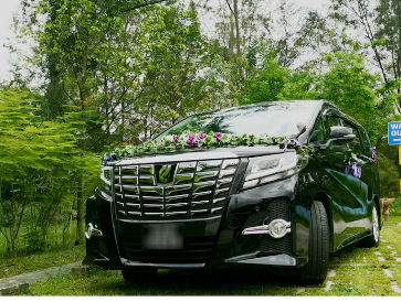 Wedding Car – Purple