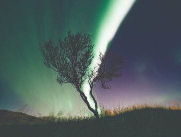 7-day Scenic Iceland & The Northern Lights (AWS)