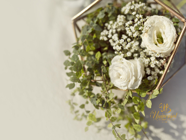 Pre wedding and AD package