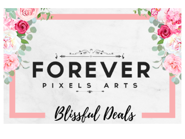 BLISSFUL DEALS – Actual Day 8 hours Photography @ $1588 (U.P. $1988)