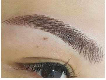 Natural Brow Embroidery