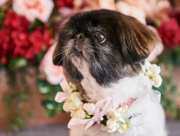 2020 Wedding Value Package