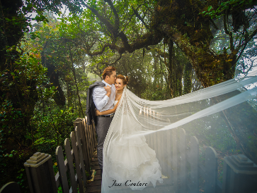 Diamond Wedding Package (MTM gowns)