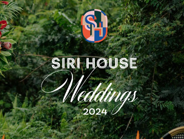 Wedding Deck | Weddings 2024
