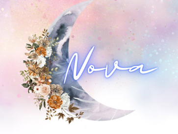 Weddings Nova