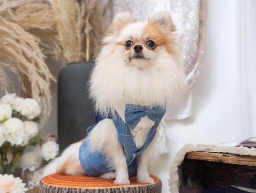 Blue Waistcoat