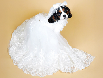 Embroidered Floral Lace Applique Long Wedding Dress