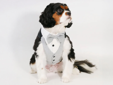 Grey Waistcoat