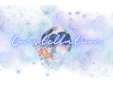 Constellation Wedding 2026