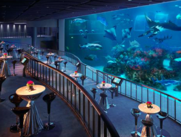 Ocean Gallery Wedding Packages 2025 & 2026