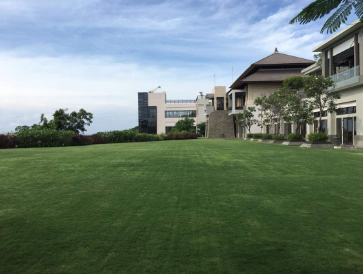 Enchanted Cliff Lawn Wedding