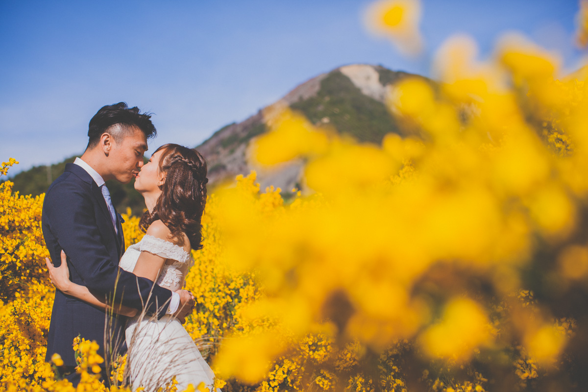 Destination Wedding Photography in New Zealand