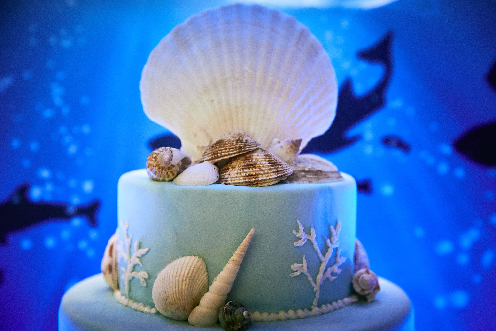 UNDERWATER OCEAN