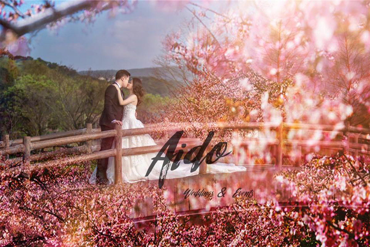 Wedding shoot 00004