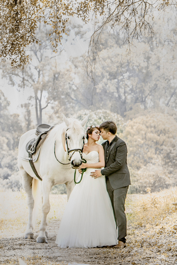 Local Photography | Photography