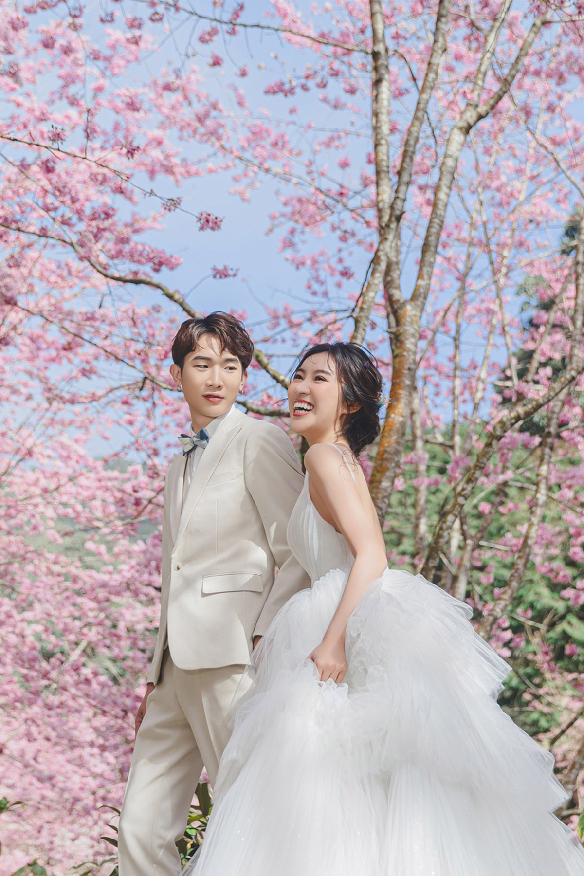 Cherry Blossoms Pre-wedding Photoshoot