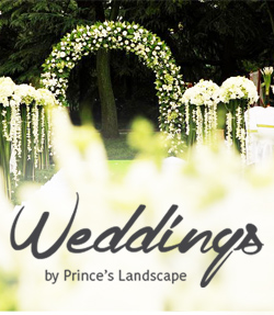 Prince’s Landscape